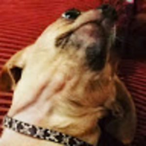 Meet your Posher, Marisol